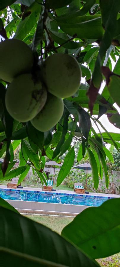 Mango Tree Villa Бентота Экстерьер фото